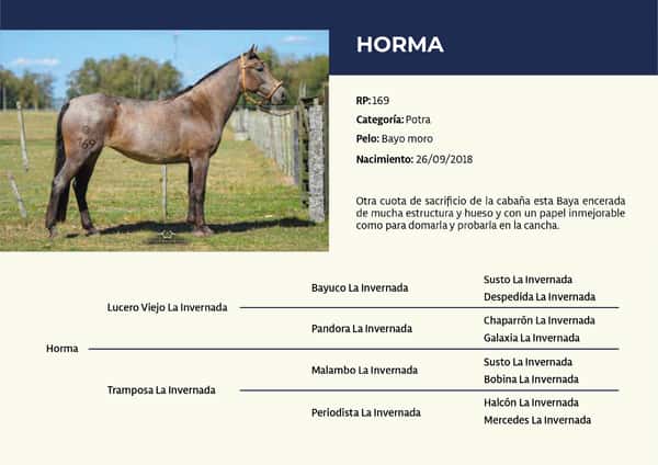 Lote RP 169 - Horma