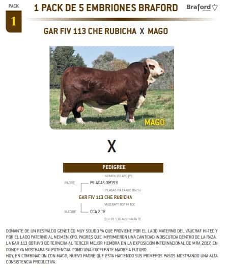 Lote PACK 1