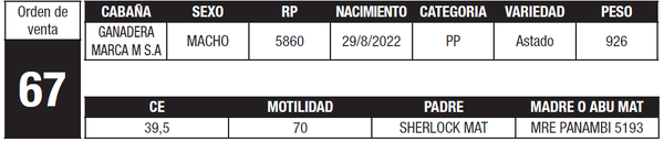 Lote LOTE 67