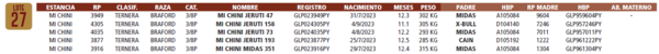 Lote LOTE 27