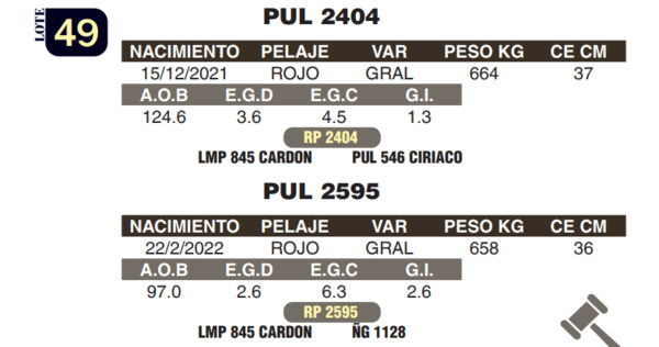 Lote LOTE 49