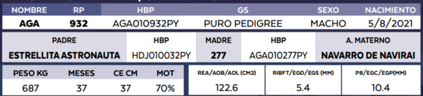 Lote LOTE 20