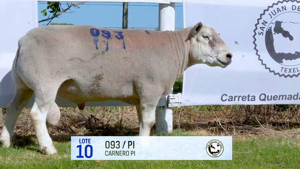 Lote Lote 10