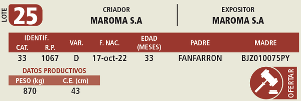 Lote LOTE 25