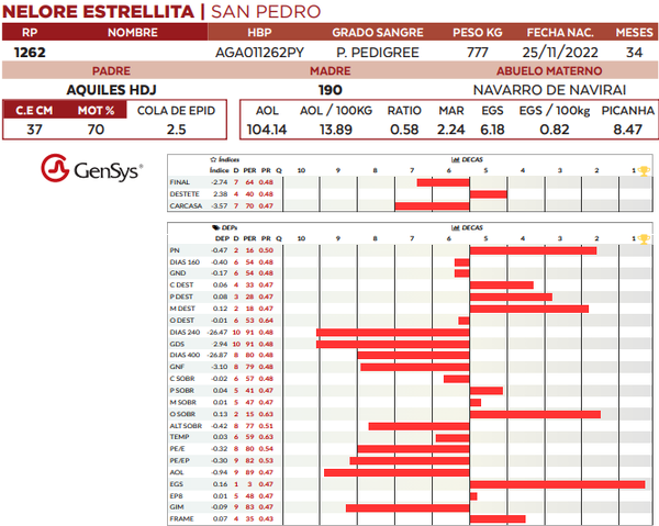 Lote LOTE 14