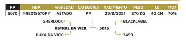 Lote LOTE 26