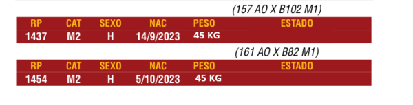 Lote LOTE 18