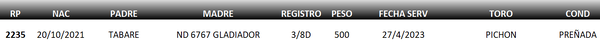 Lote LOTE 12
