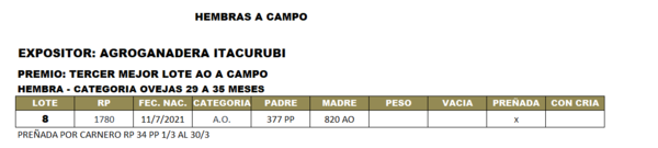 Lote LOTE 8- CAMPO