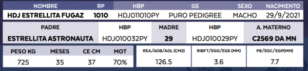 Lote LOTE 60