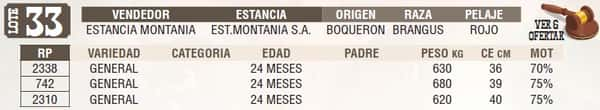 Lote LOTE 33 - EN VIVO