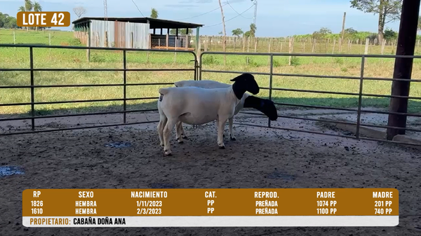 Lote LOTE 42 - DESTACADO