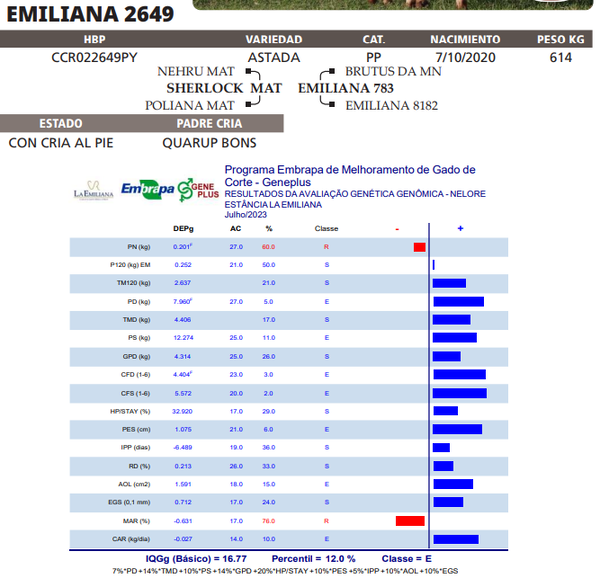 Lote LOTE 65