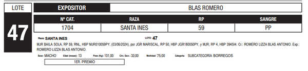Lote LOTE 47