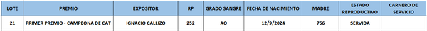Lote LOTE 21