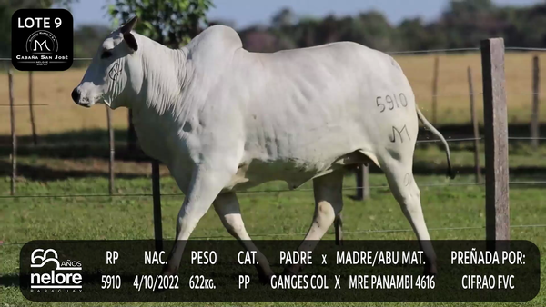 Lote LOTE 9