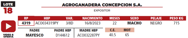 Lote LOTE 18