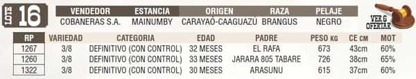 Lote LOTE 16