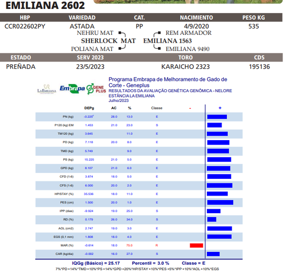Lote LOTE 58