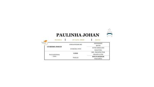 Lote PAULINHA JOHAN (CURIOSO JOHAN - PAULISTINHA)
