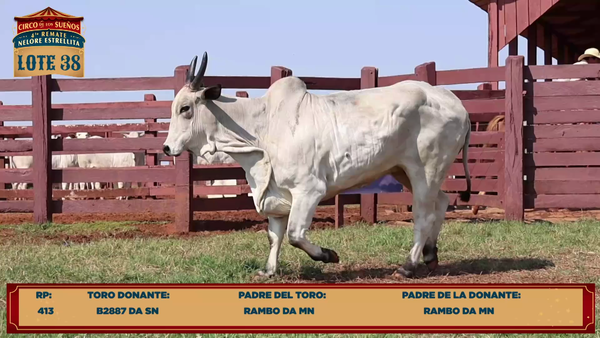 Lote LOTE 38