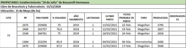Lote Lote 13