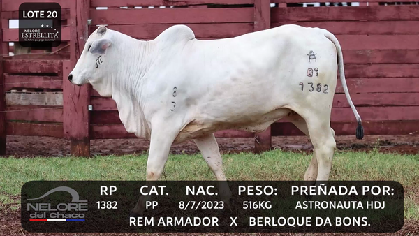 Lote LOTE 20