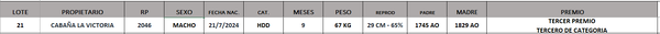 Lote LOTE 21