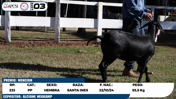 Lote LOTE 3