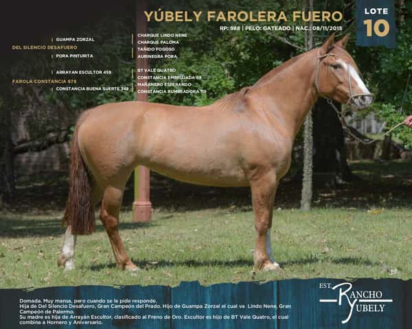 Lote Yubely Farolera Fuero