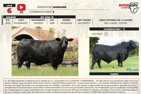 Lote LOTE 6