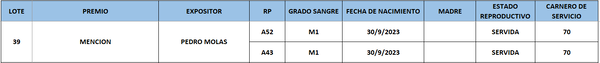 Lote LOTE 39