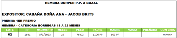 Lote LOTE 62