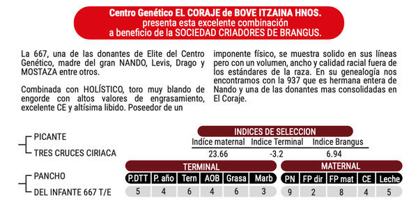 Lote "CABAÑA EL CORAJE" - EL CORAJE