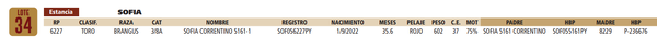 Lote LOTE 34