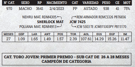 Lote LOTE 14 - BOZAL
