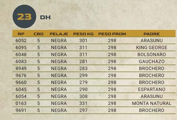 Lote LOTE 23