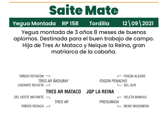 Lote LOTE 36