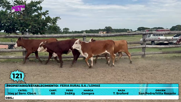 Lote LOTE 121