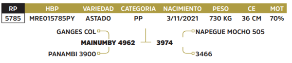 Lote LOTE 46