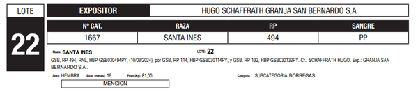 Lote LOTE 22