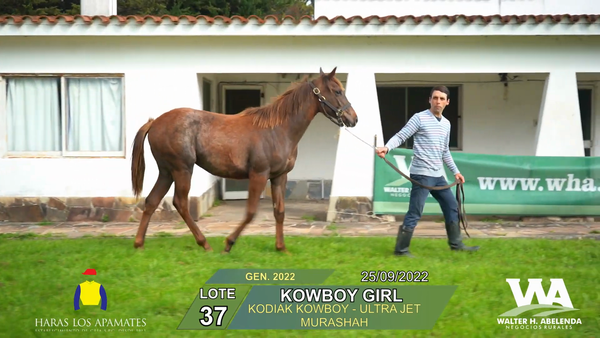 Lote KOWBOY GIRL