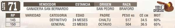 Lote LOTE 71 - EN VIVO