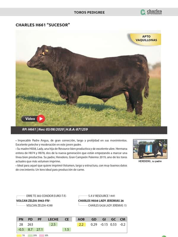 Lote TOROS PEDIGREE