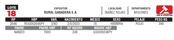 Lote LOTE 18- JUNIOR