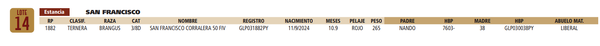 Lote LOTE 14