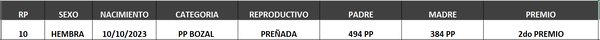 Lote LOTE 59- BOZAL