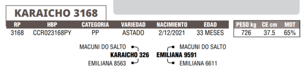 Lote LOTE 41