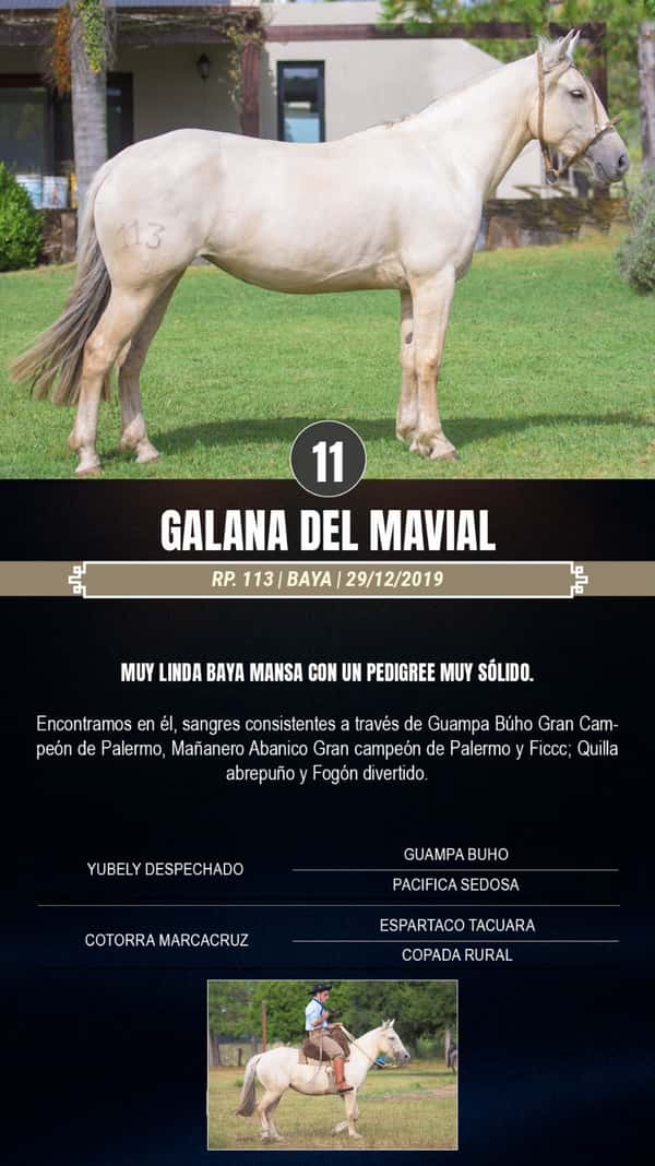 Lote Galana del Mavial