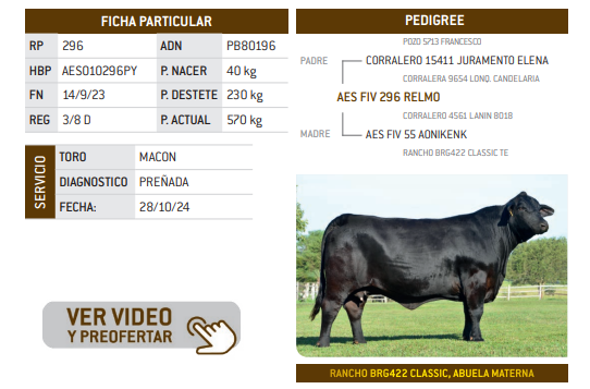 Lote LOTE 1